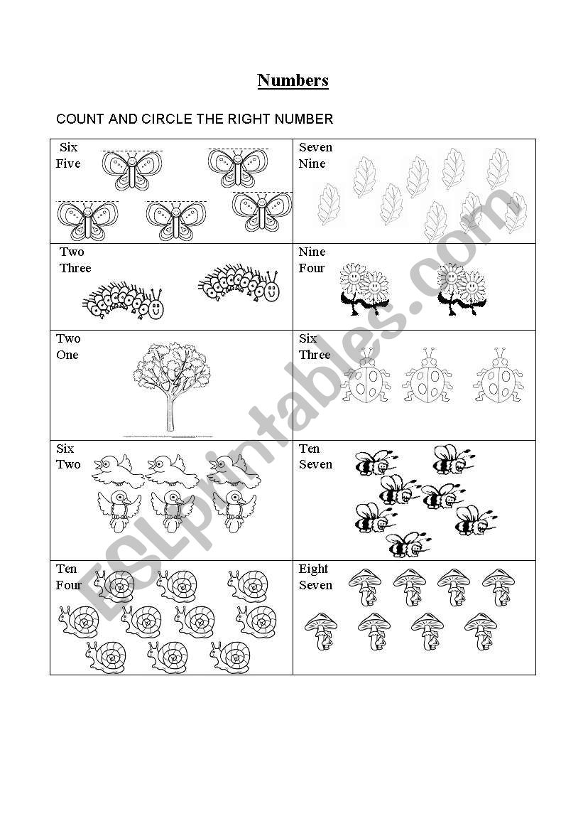 numbers worksheet