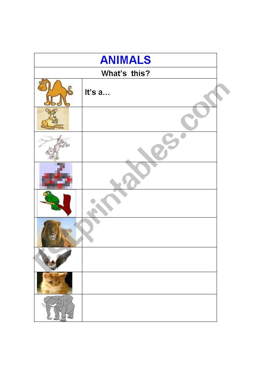 Animals1 worksheet