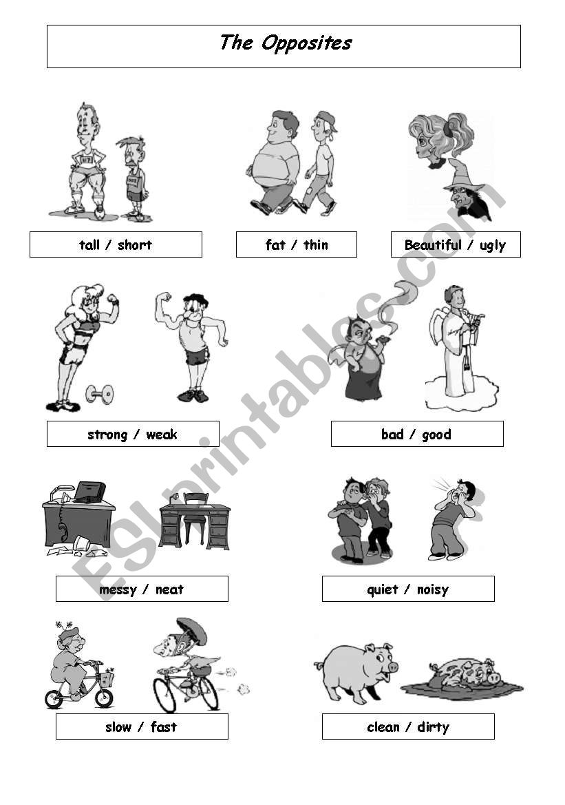 OPPOSITES worksheet