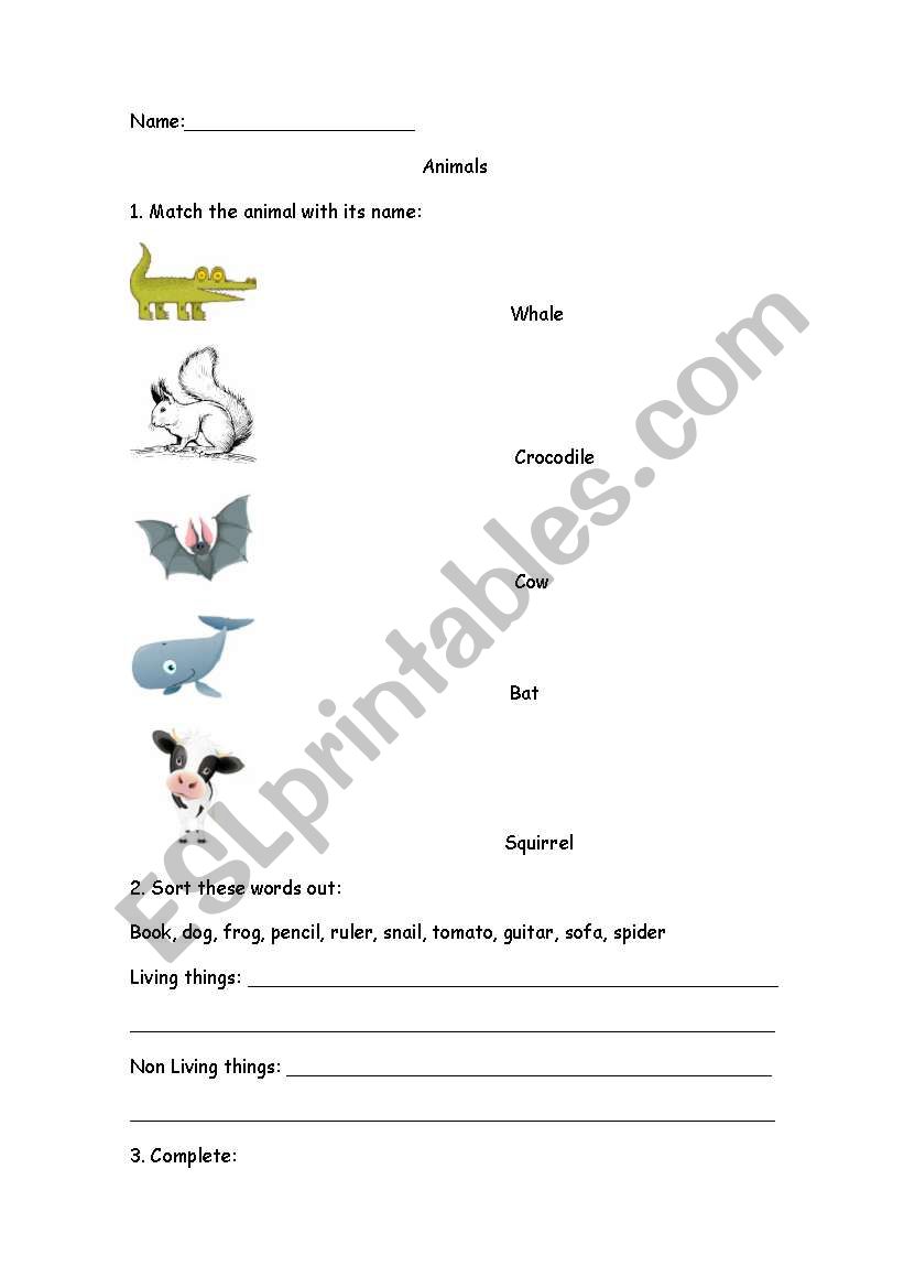 Animals Unit worksheet