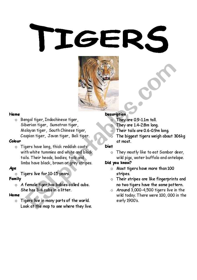 English worksheets: Tiger Fact File