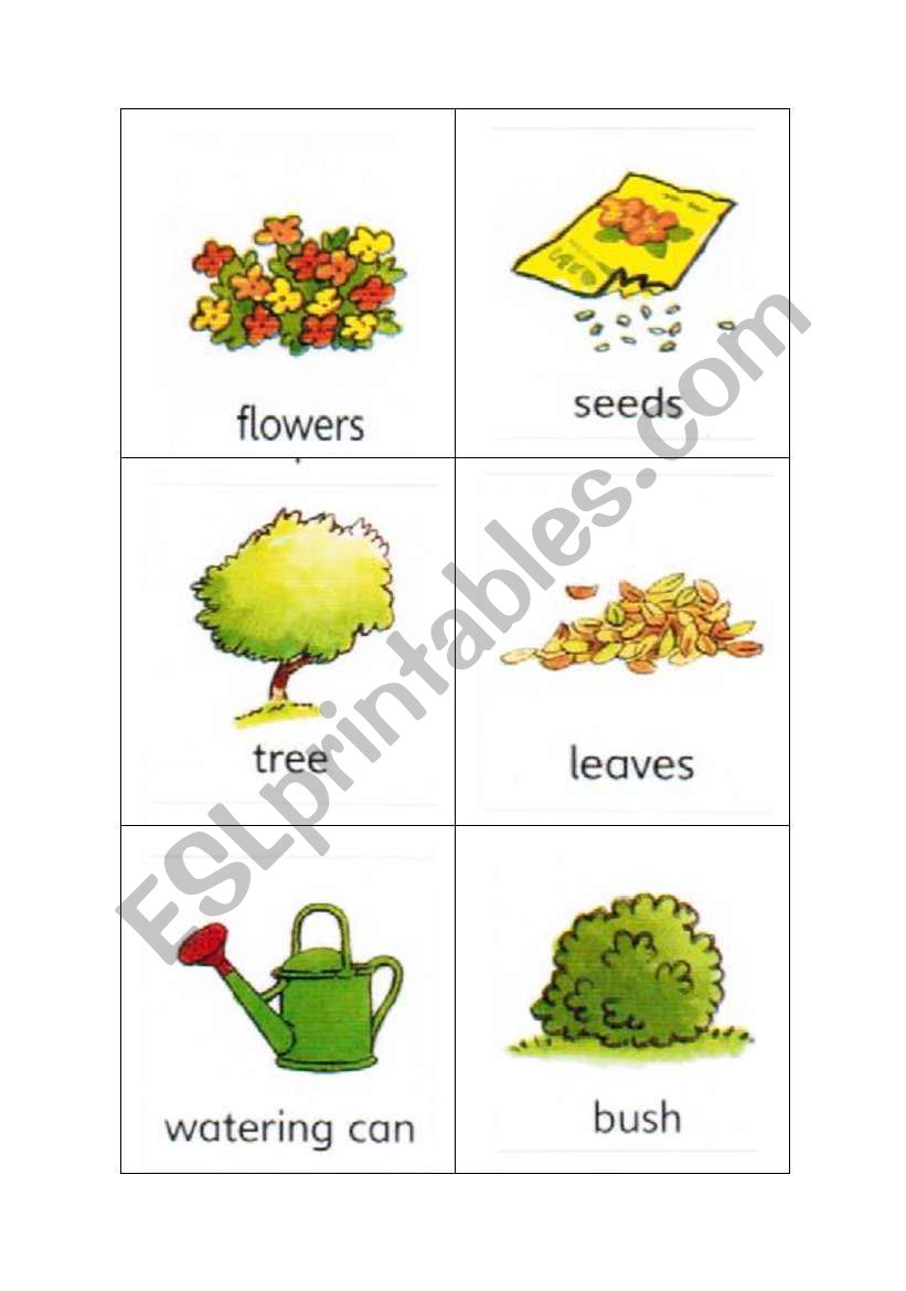 Plant and Garden Flashcards worksheet