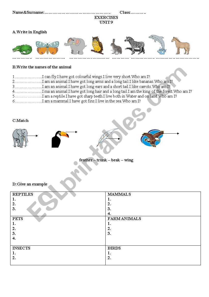 animals worksheet