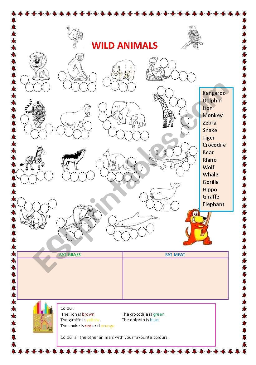 wild animals worksheet