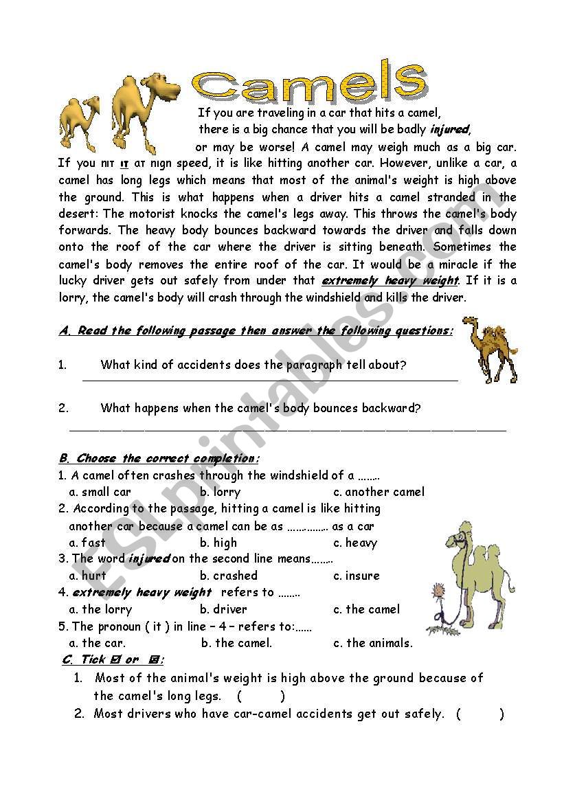  camels worksheet