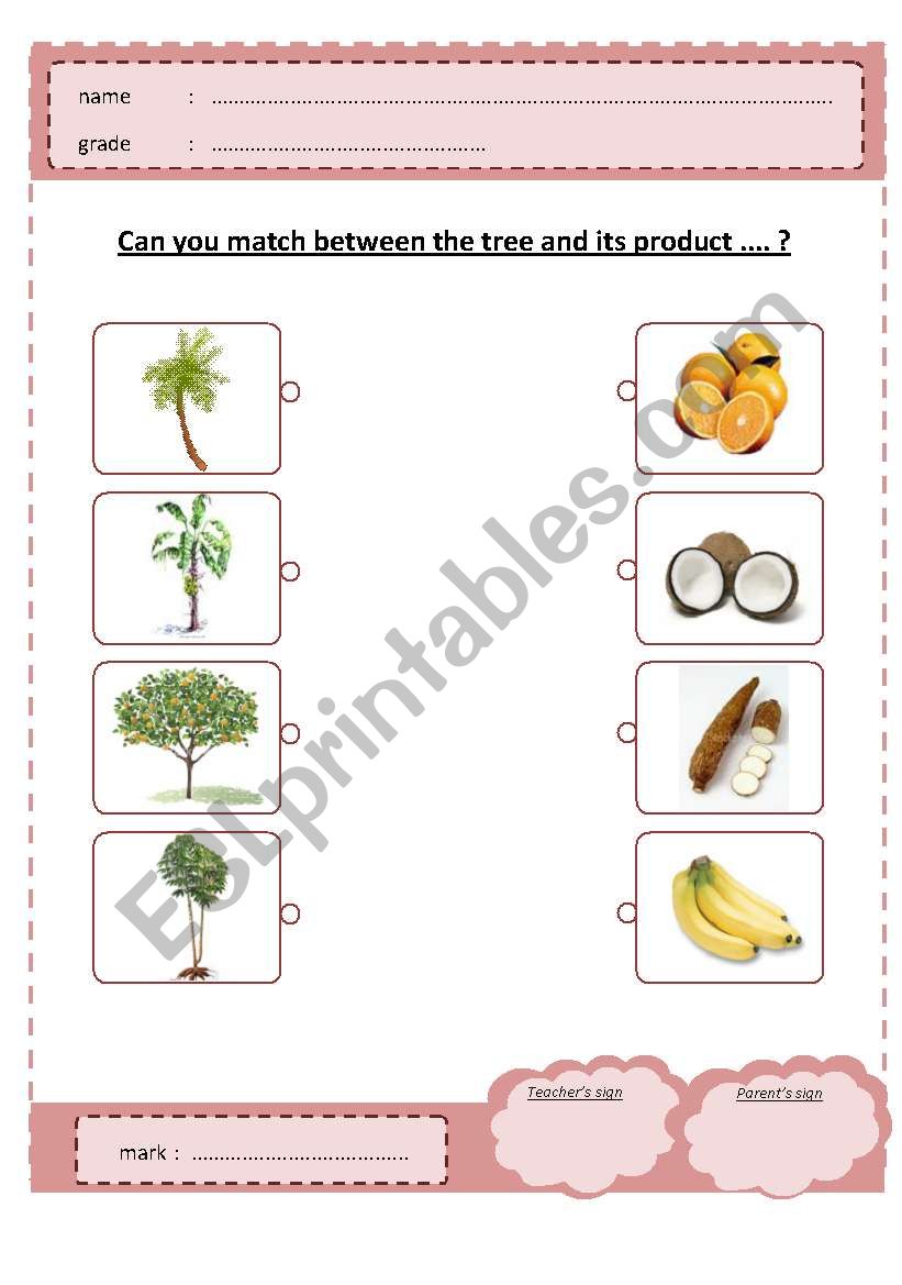 match product worksheet