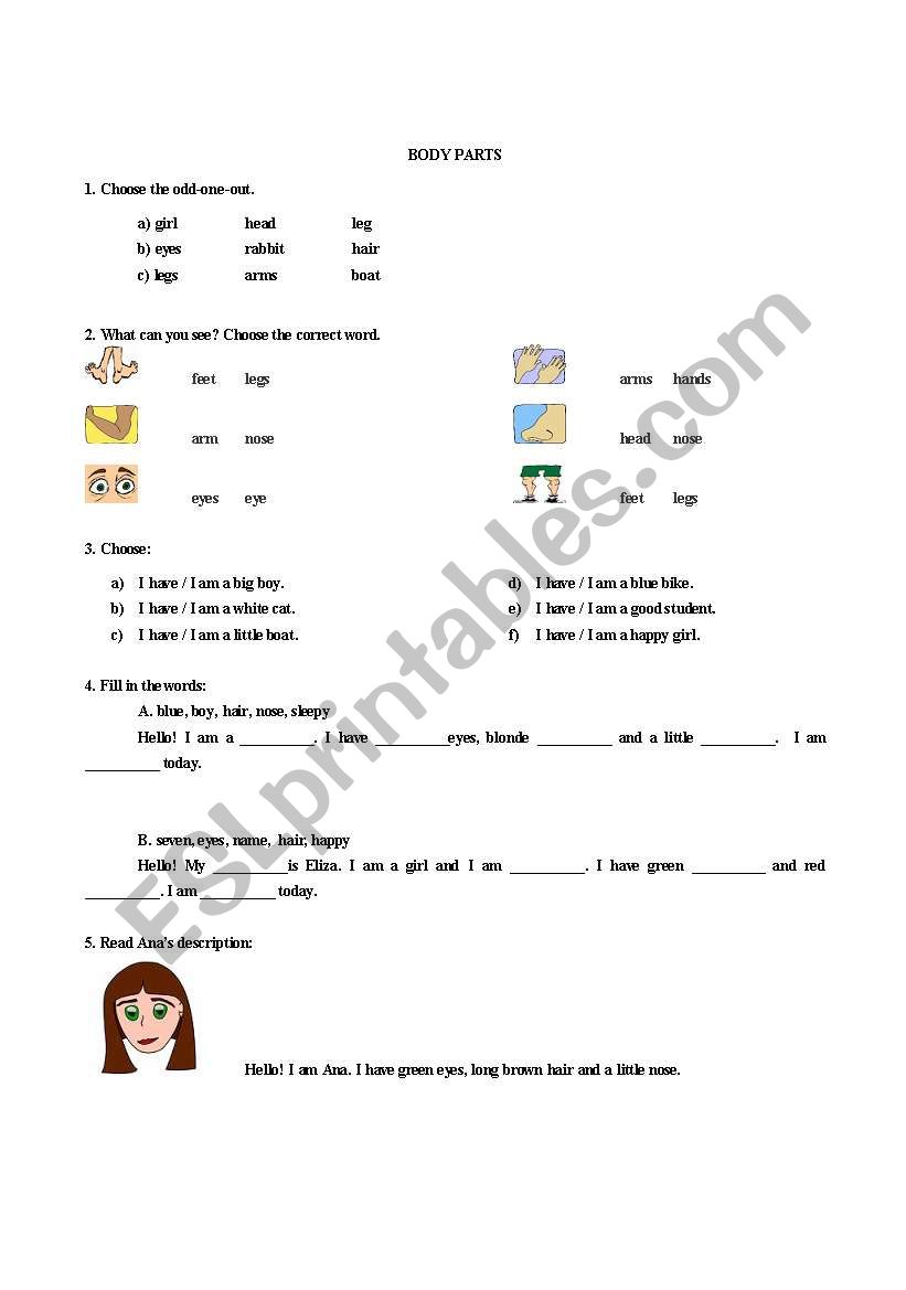 BODY PARTS worksheet