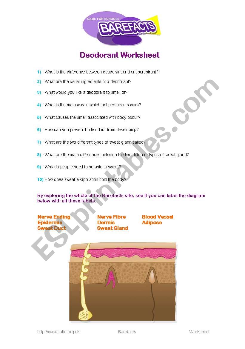 Body smells worksheet