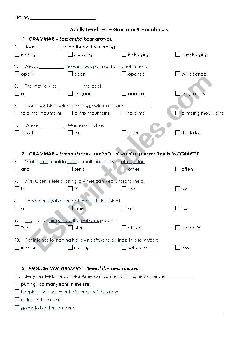 Adult Level Test worksheet
