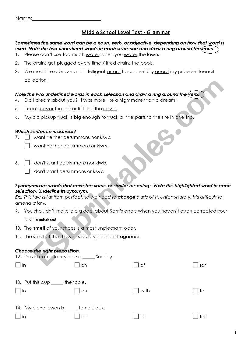 Middle School Level Test worksheet