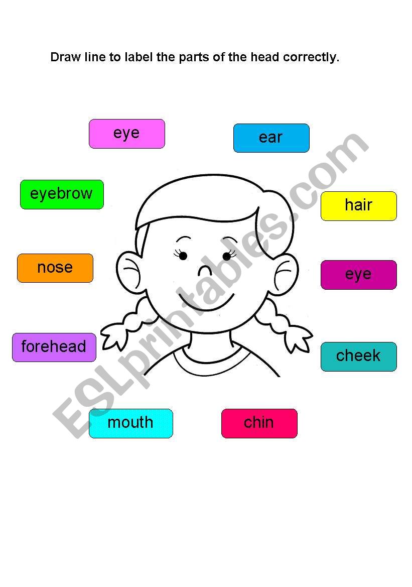 part-of-the-head-esl-worksheet-by-teacher-shu