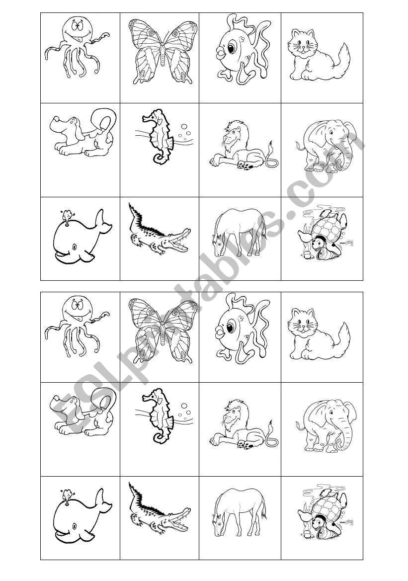 Animals worksheet