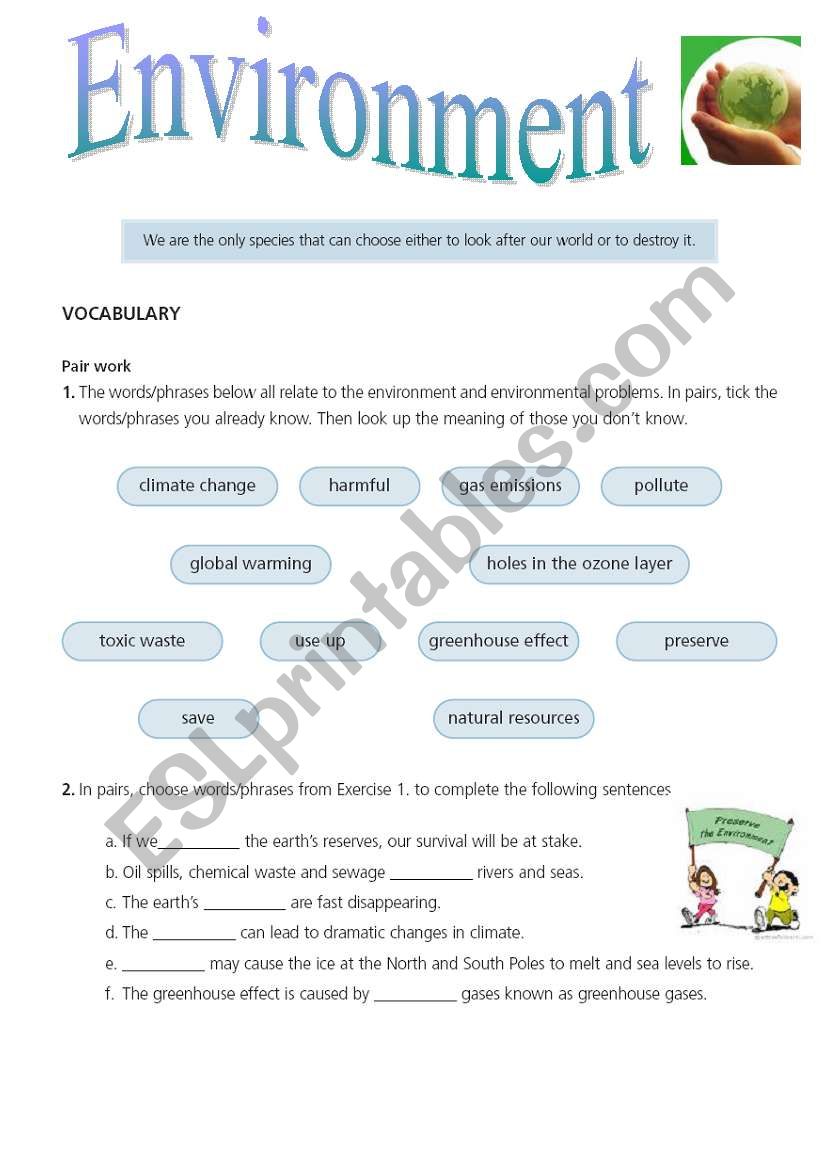 environment worksheet