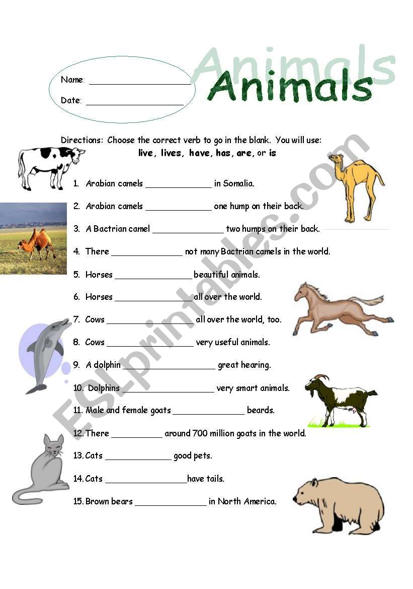 Animal Subject/Verb Agreement worksheet