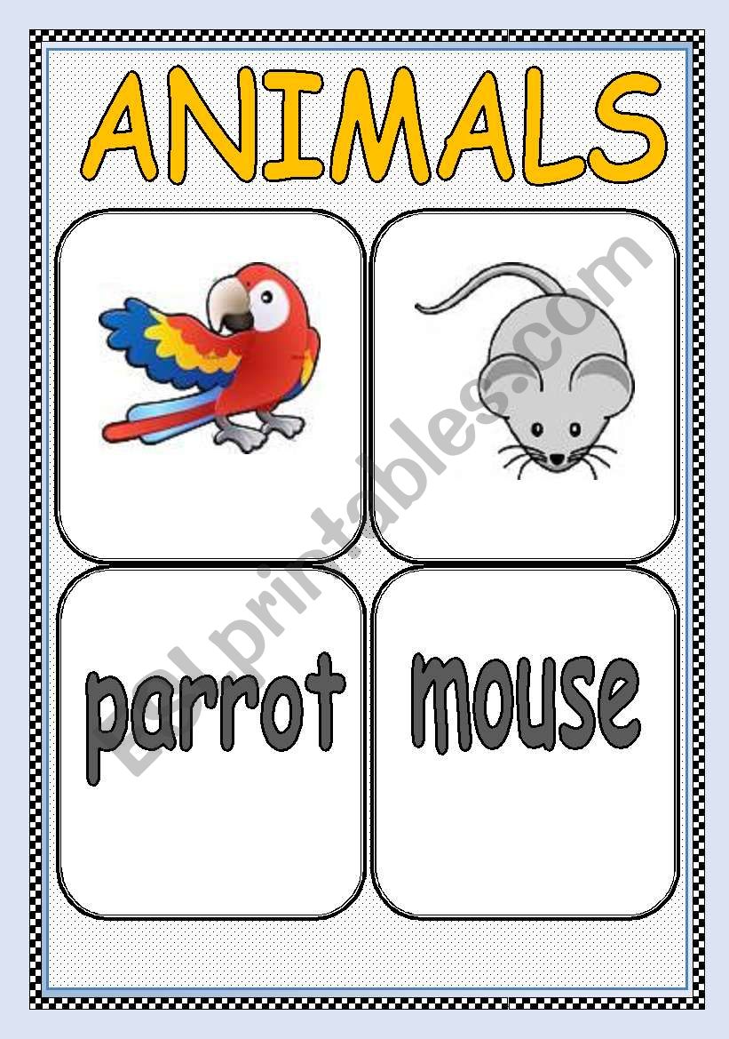ANIMALS FLASHCARD or POSTER ( Part : 6 ) | TWO PAGES |
