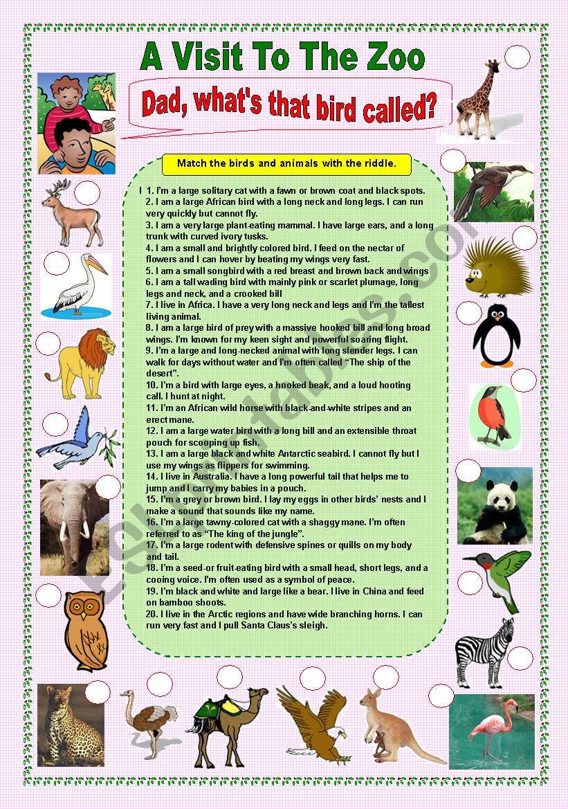  A Visit To The Zoo worksheet