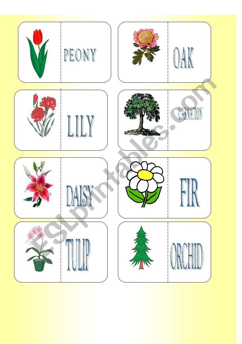 FLOWERS AND TREES DOMINO SET 1