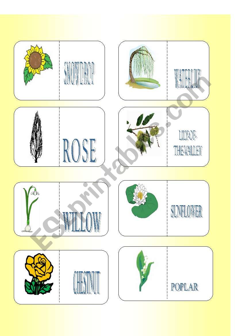 FLOWERS AND TREES SET 2 worksheet