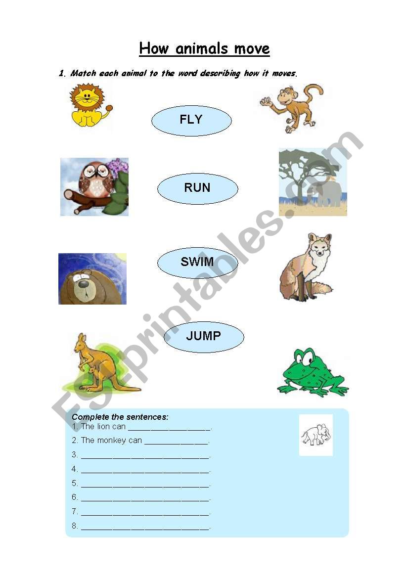 How animals move worksheet