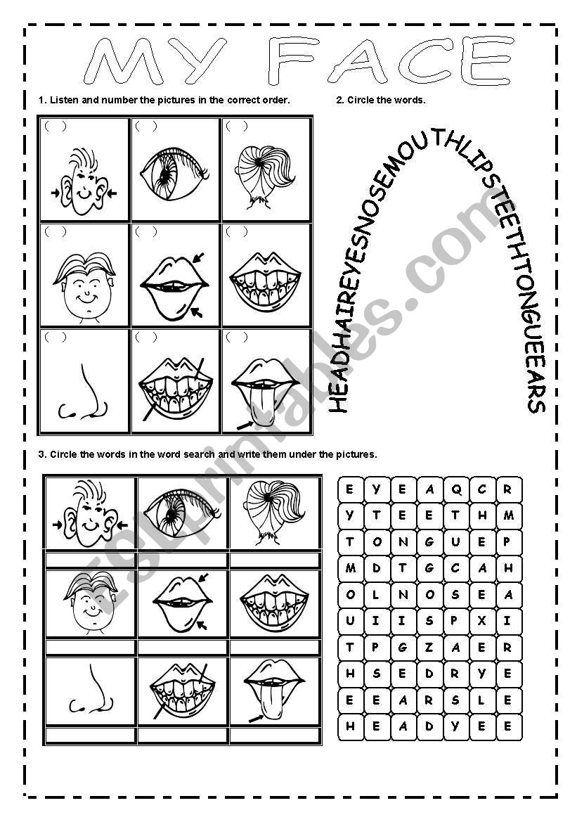 MY FACE worksheet