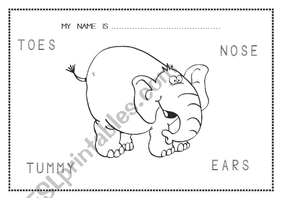 Parts of body worksheet