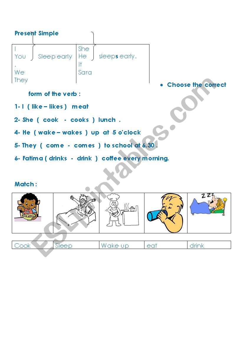 Simple present ..New verb  worksheet