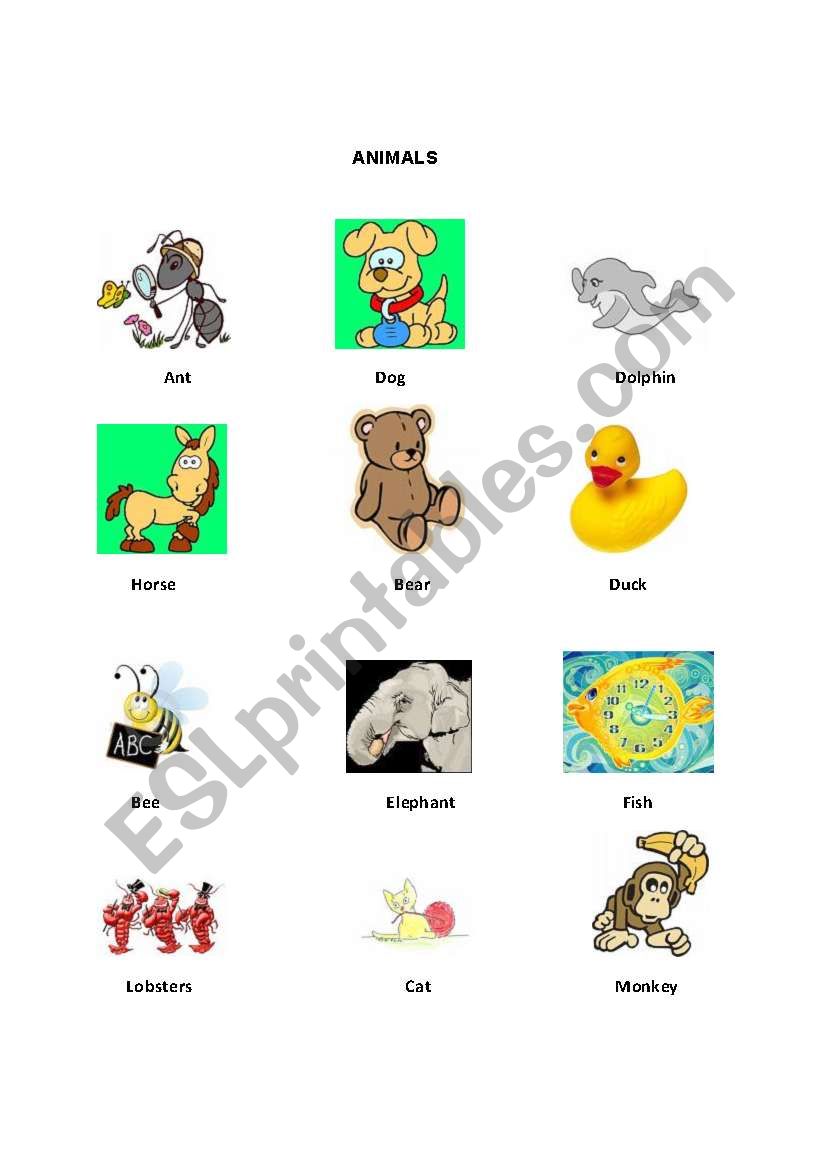 ANIMALS worksheet