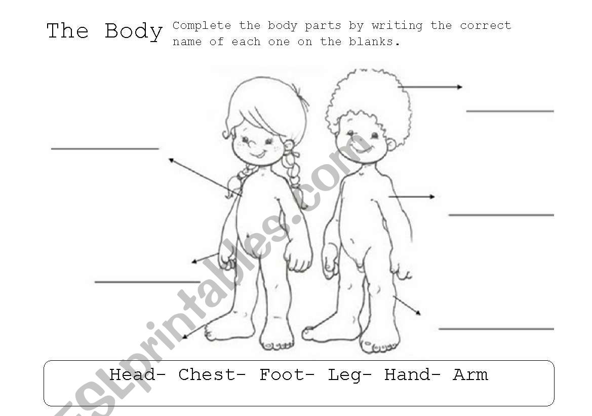 Body Parts  worksheet