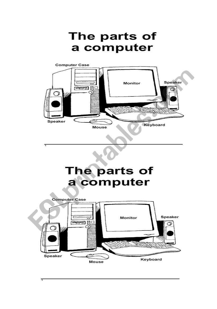The parts of a computer worksheet