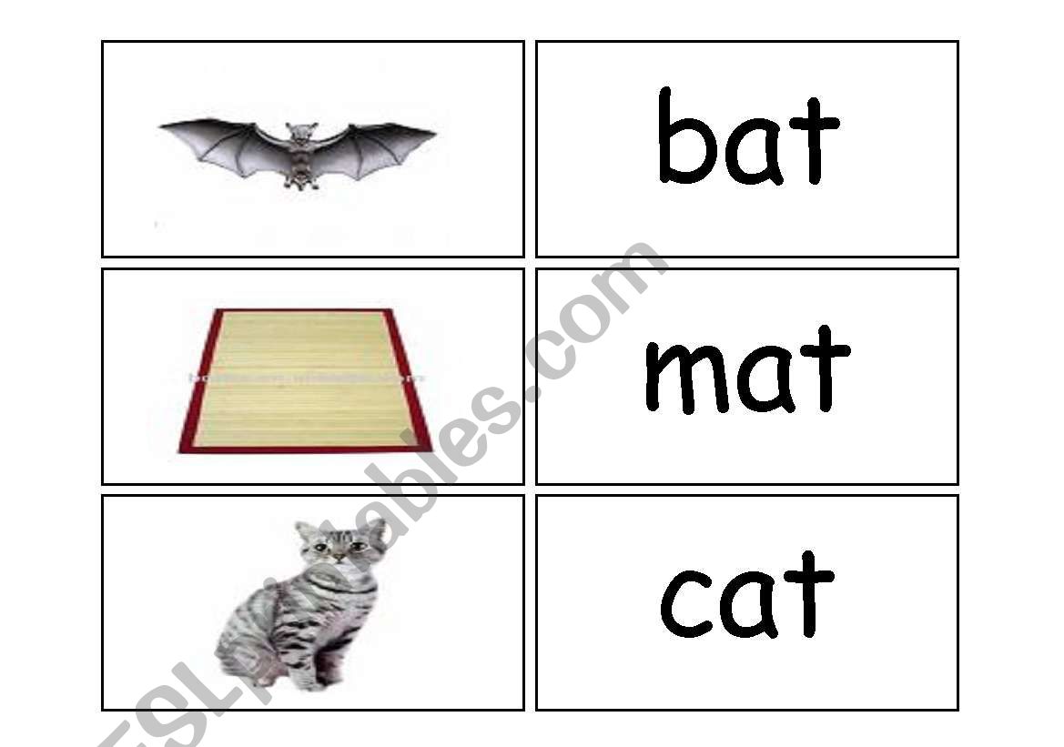 flash cards worksheet