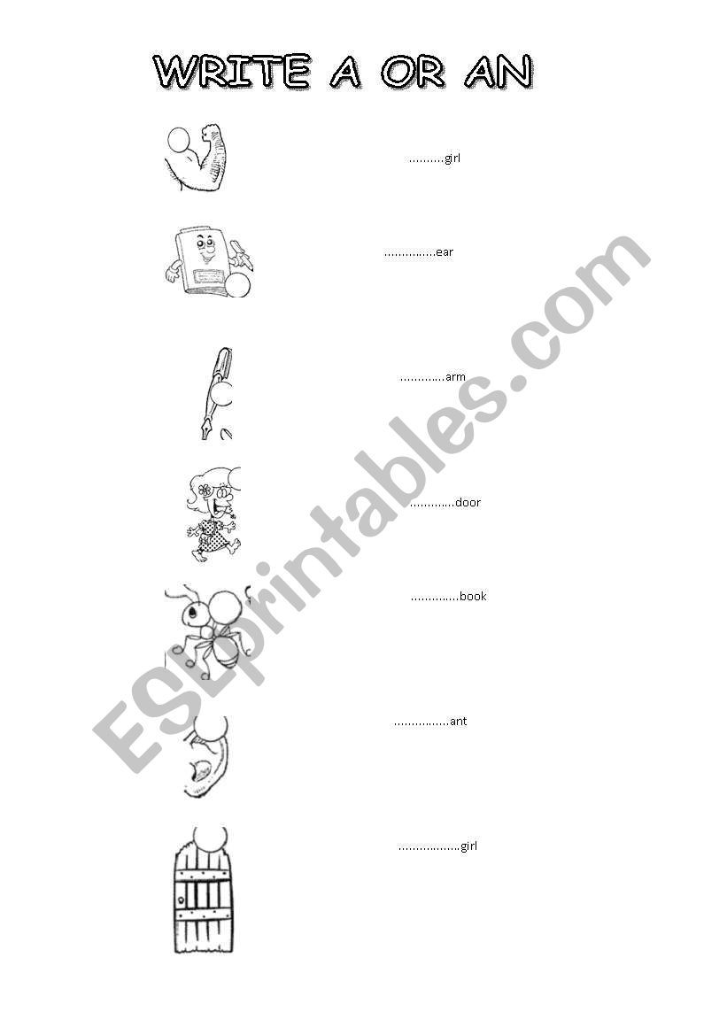 AN & A worksheet