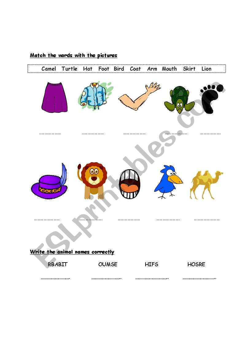 Body parts,animals,clothes quick vocabulary revision