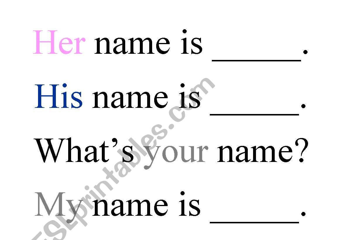 Introducing worksheet