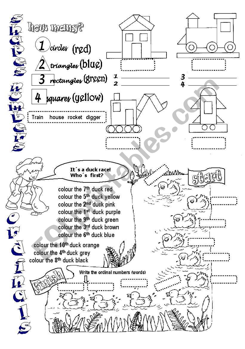 ORDINALS SHAPES NUMBERS worksheet