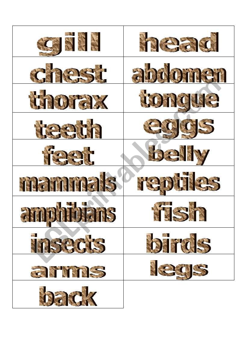 Flashcards different parts or various animals2