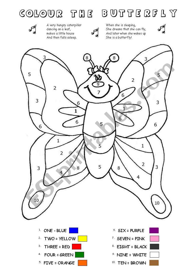 COLOUR BY NUMBERS - BUTTERFLY - ESL worksheet by mr.sneeze