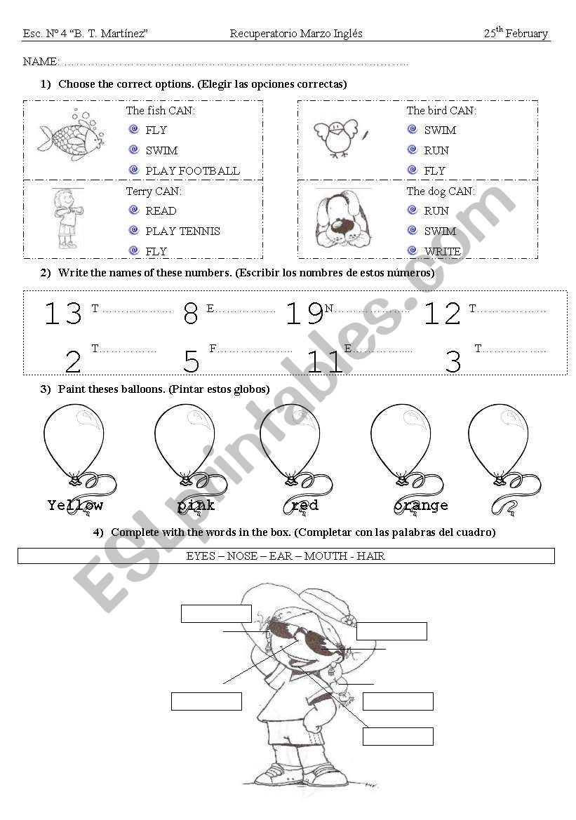 Revision of some topics  worksheet