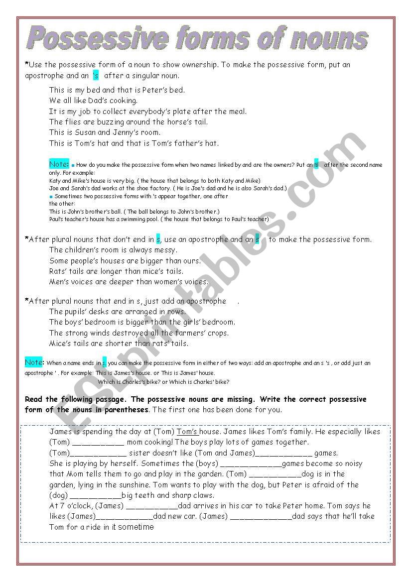 Possessive case worksheet