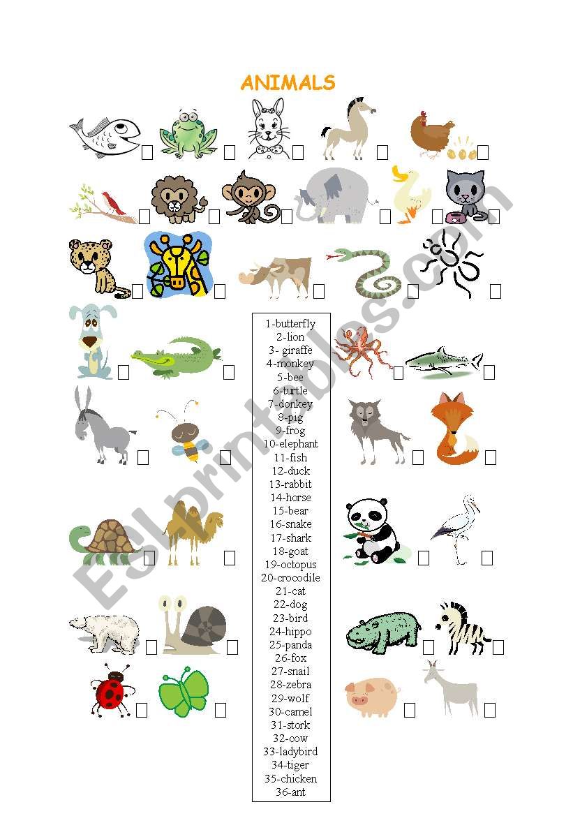 animals worksheet