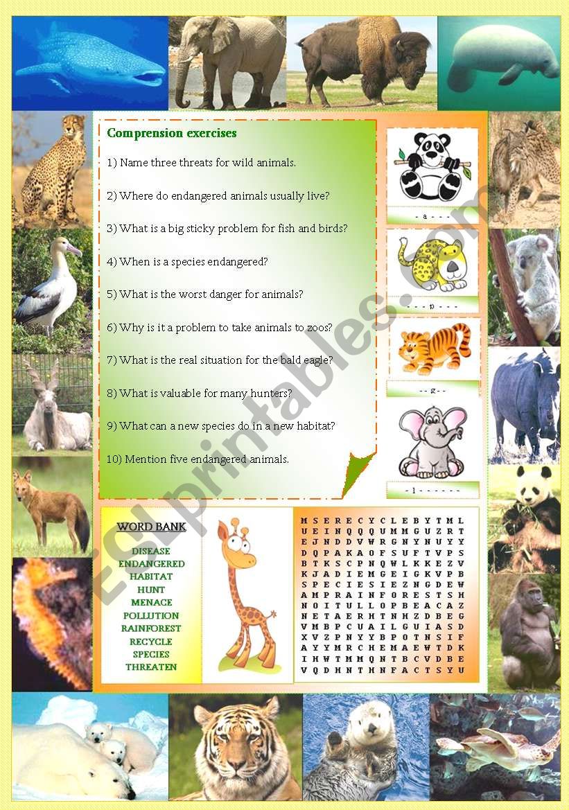 Endangered species (Part 2/5): Comprehension