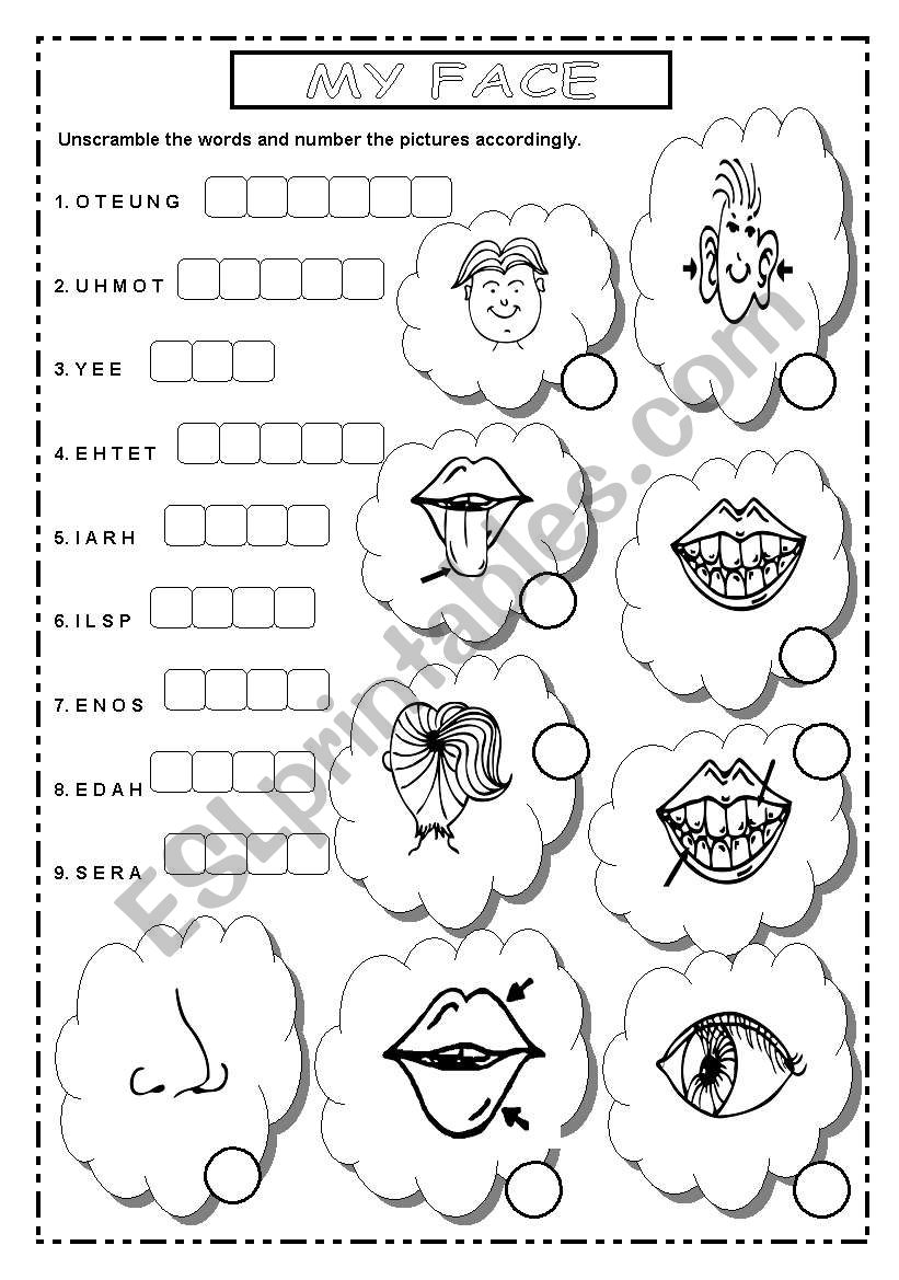 MY FACE worksheet