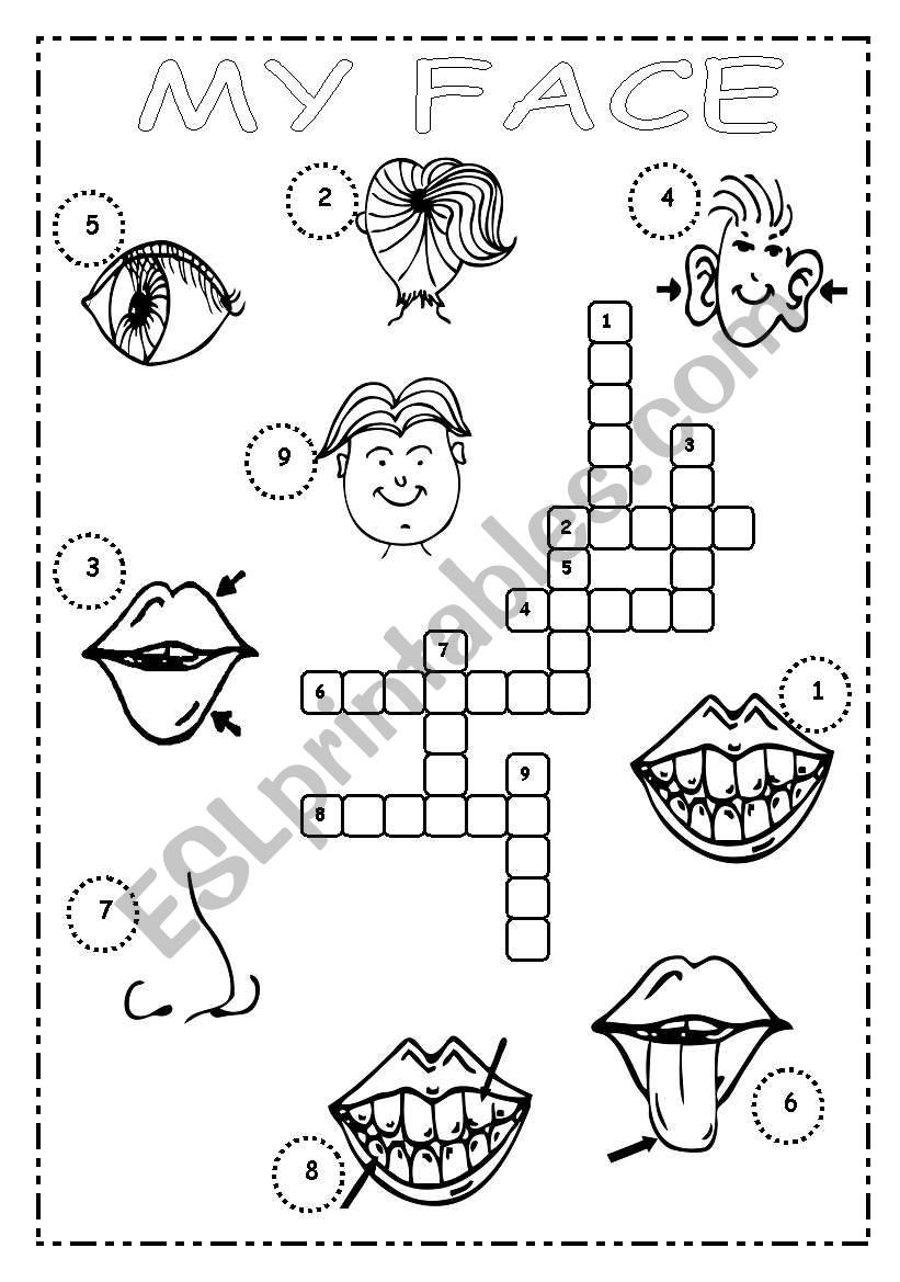 MY FACE worksheet