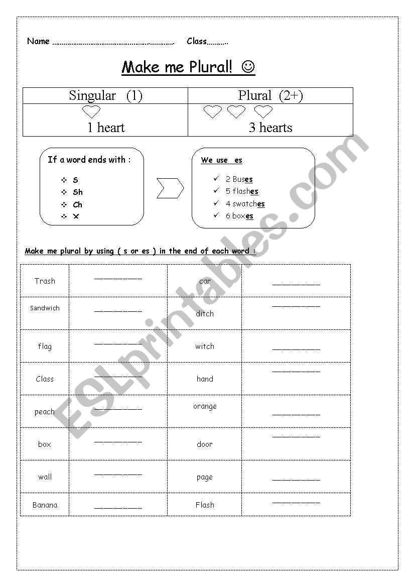 pluralses worksheet