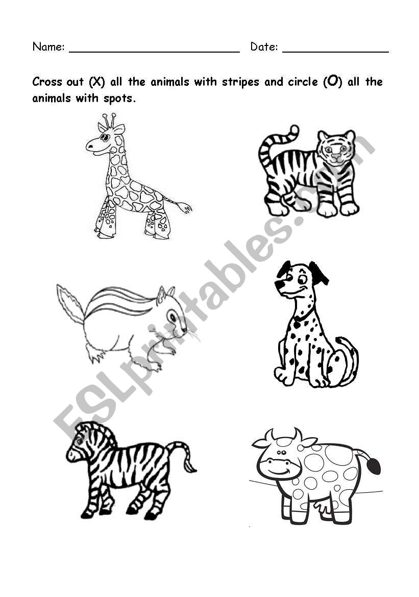 English worksheets: animal with spots and stripes