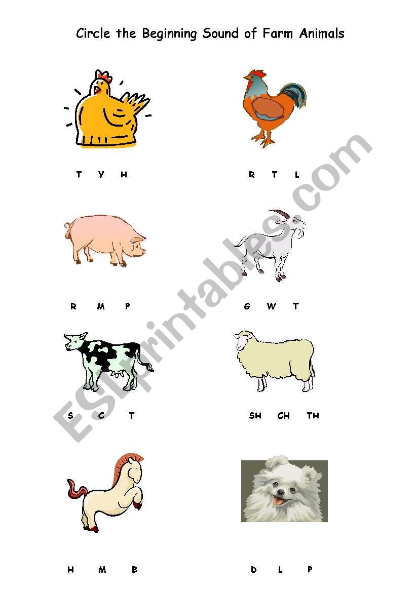 animal phonics worksheet