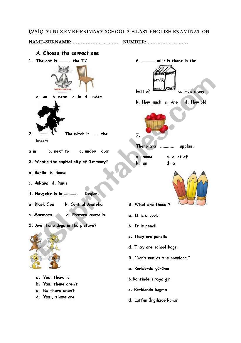 5th garde exam worksheet