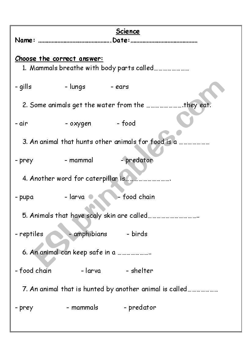 animals types worksheet