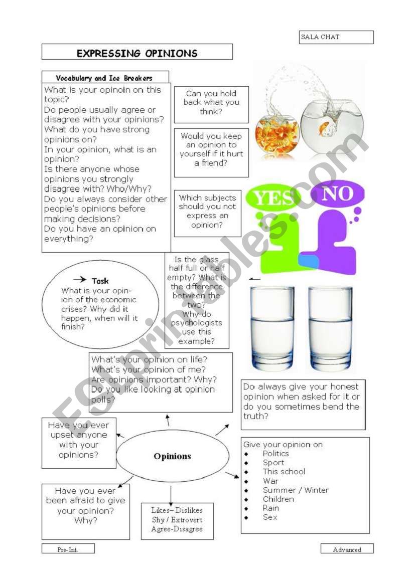 Expressing Opinions worksheet