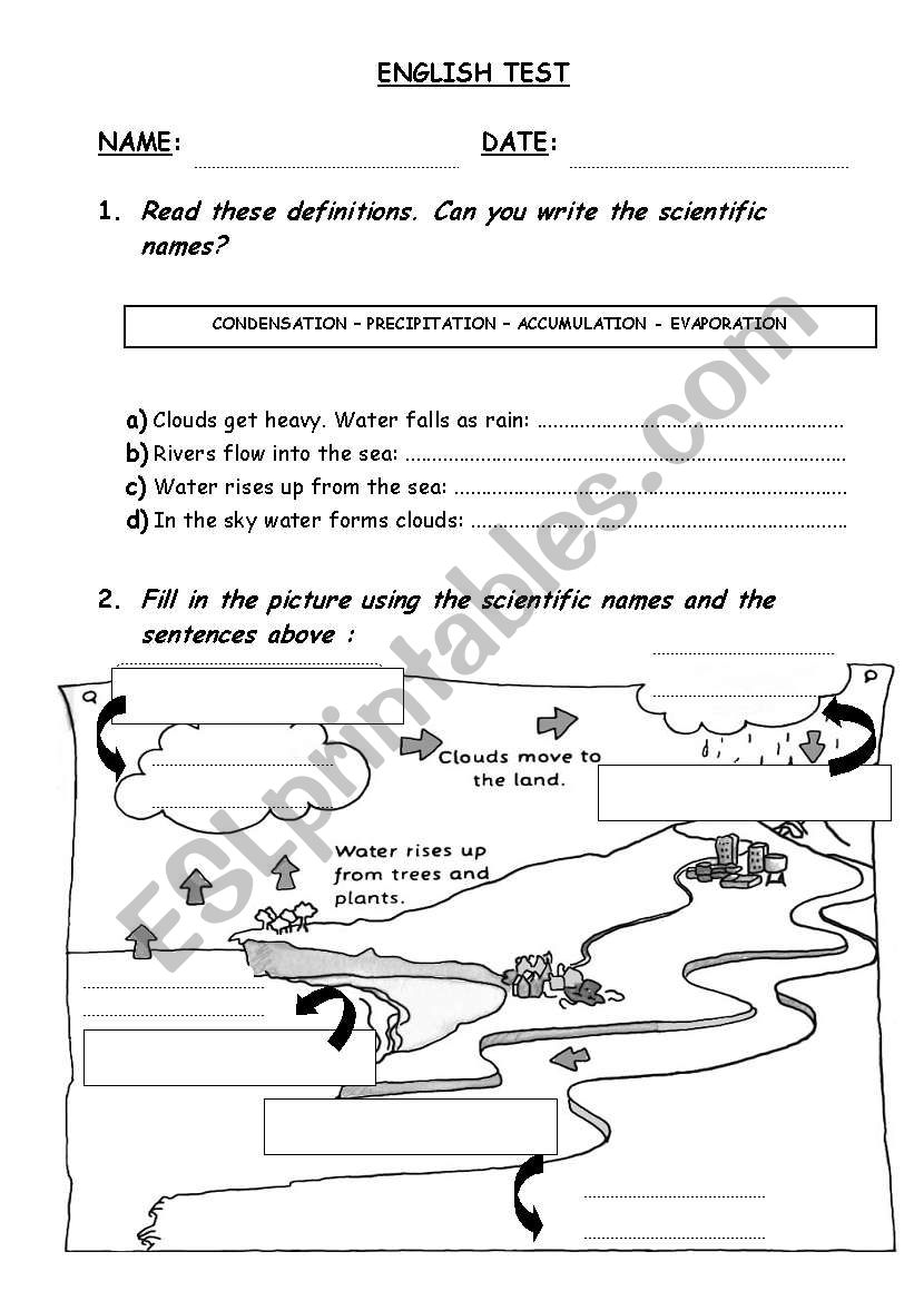 ALL ABOUT WATER worksheet