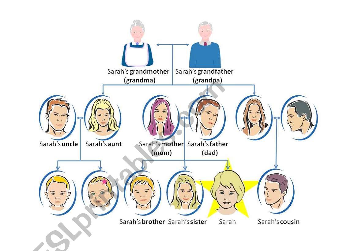 Family Tree (vocabulary) worksheet